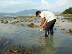Black wastewater threatens to destroy Patong's restored coral reefs | News by Thaiger