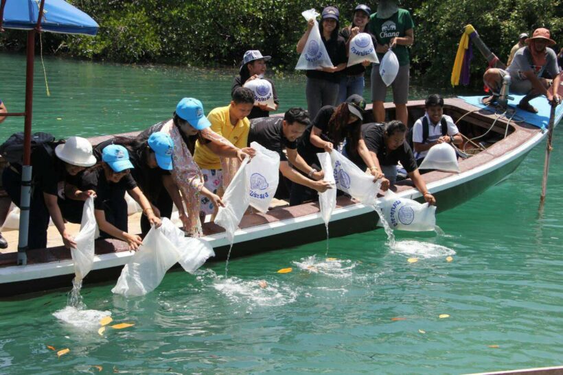 จัดกิจกรรม”คืนปูม้าสู่ทะเลไทย”เพื่อความอุดมสมบูรณ์ของระบบนิเวศและทรัพยากรธรรมชาติชายฝั่งทะเลอันดามัน | The Thaiger