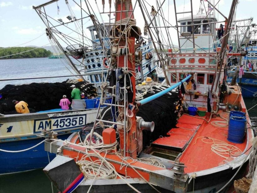 หยุดออกเรือจับปลา เรียกร้องรัฐบาลทบทวนประกาศและการออกกฎระเบียบที่เข้มงวดเกินไป | The Thaiger