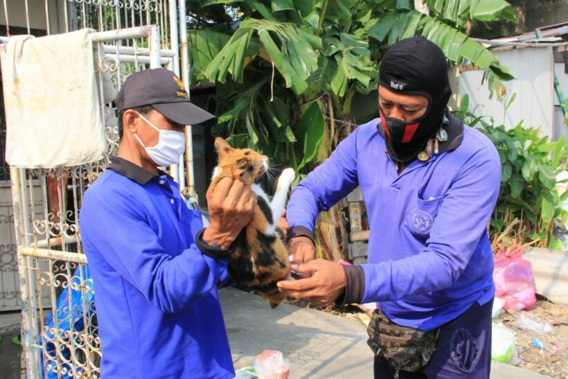 Protesters call for the resignation of the Livestock Department chief