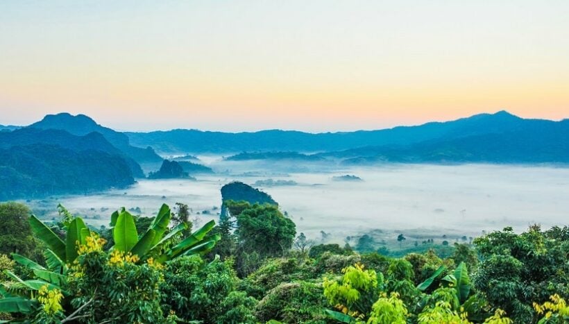 Northeastern cave forced to close for a week after tourists test positive