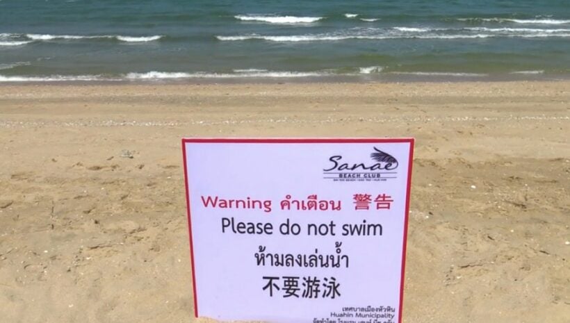 Four bull sharks sighted off beach south of Hua Hin