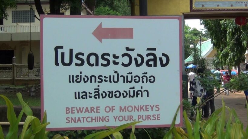 วัดถ้ำเสือ ขึ้นป้าย 3 ภาษา ห้ามให้อาหารลิง เพื่อป้องกันลิงทำร้ายนักท่องเที่ยว | The Thaiger
