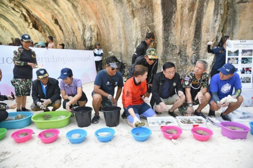 Maya Bay - let the healing begin | News by Thaiger