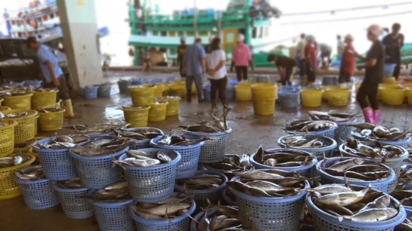 EU maintains yellow card over Thai fishing