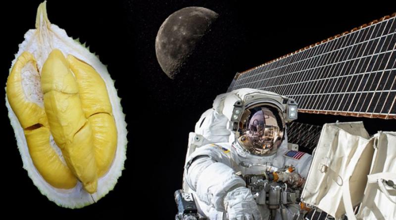 Durian being sent into space. Yes, really.