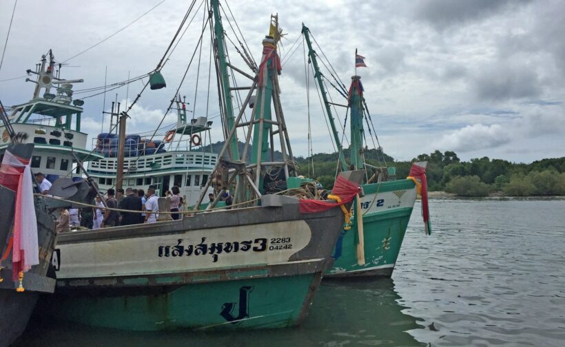 ‘It is not the whale shark’s baby’ – Fishing boat captain