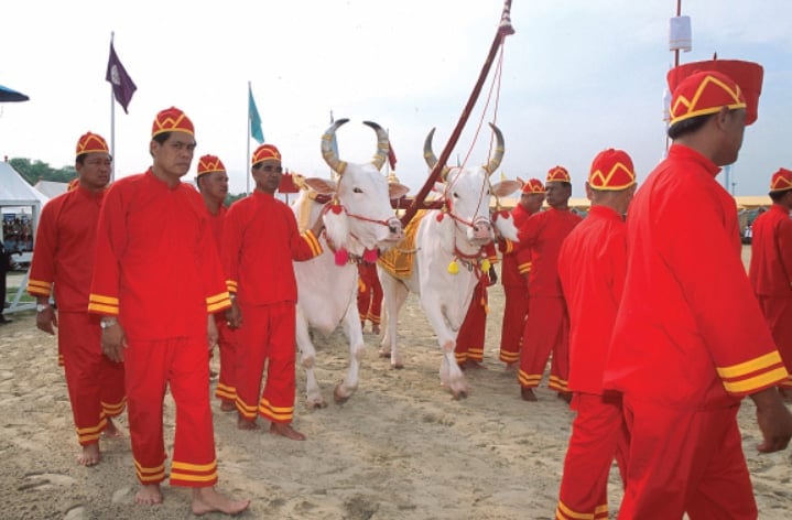 Royal Ploughing Day – Annual ceremony at Sanam Luang