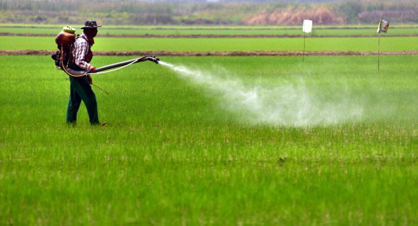 Paraquat – Decision to be made about a ban in Thailand this week