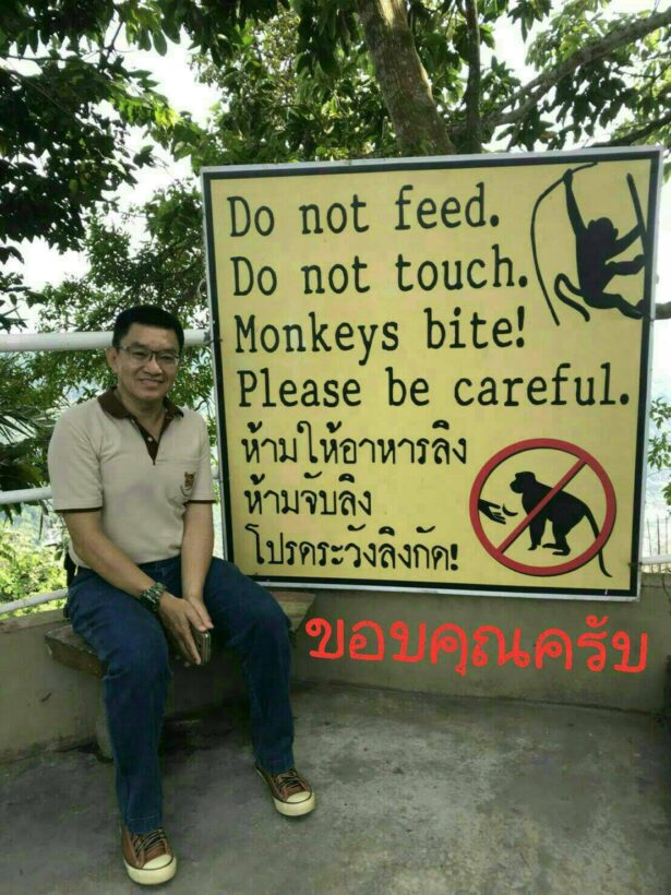 แก้ปัญหาลิง ภูเก็ตพร้อม คัดบางส่วนลงเกาะสร้างนิคมให้อยู่ แต่ยังหวั่นว่ายน้ำกลับเข้าฝั่ง | The Thaiger