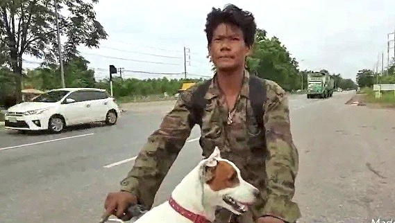 Homesick Chaiyaphum worker (and his dog) bikes 500 kilometres