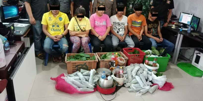 Six arrested in Phuket drug shakekdown