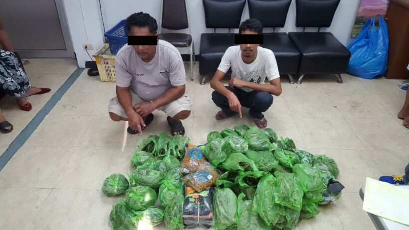 Two arrested in Phuket drug crackdown