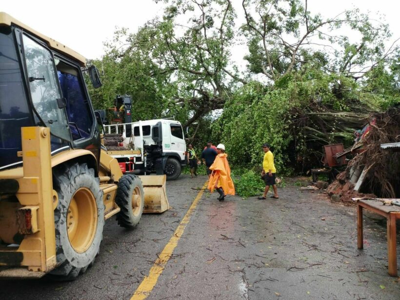 Phuket storm tears down trees and power poles