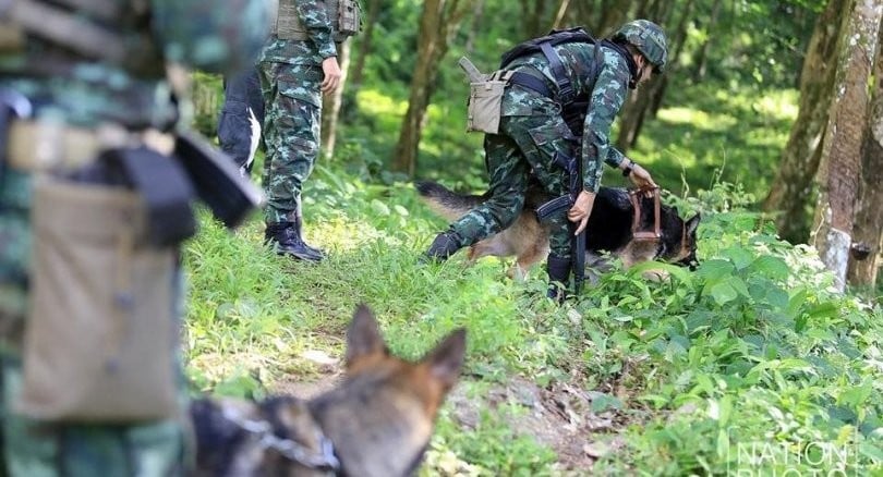 Chiang Rai: 650 personnel now involved in the search