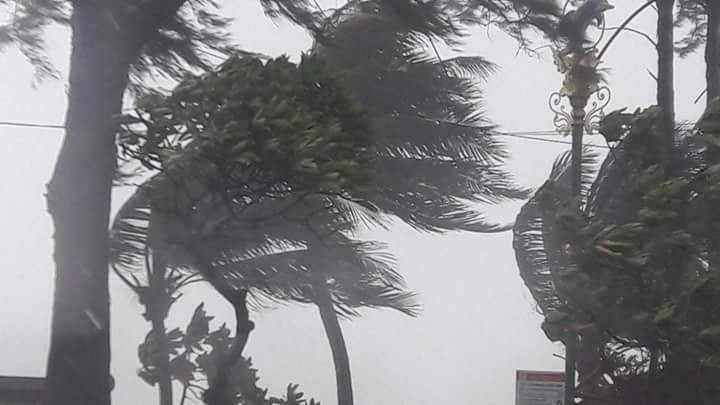 Phuket storm tears down trees and power poles | News by Thaiger