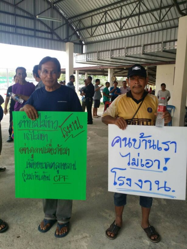 ถอนไม่สร้างโรงงานชำแหละเนื้อสุกร แต่จะขอสร้างเป็นห้องเย็น | The Thaiger