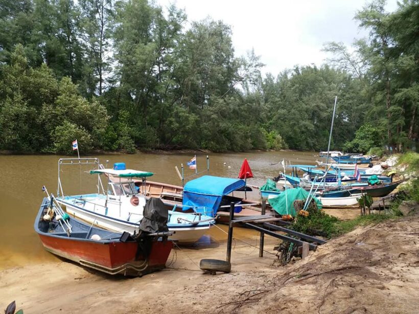 Officials investigating alleged encroachment in a Layan mangrove