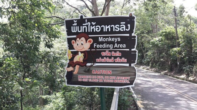 Officials visit ‘monkey island’. Signs placed for new monkey feeding zone on Khao Rang.