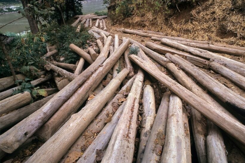 Illegal timbers seized in Phang Nga