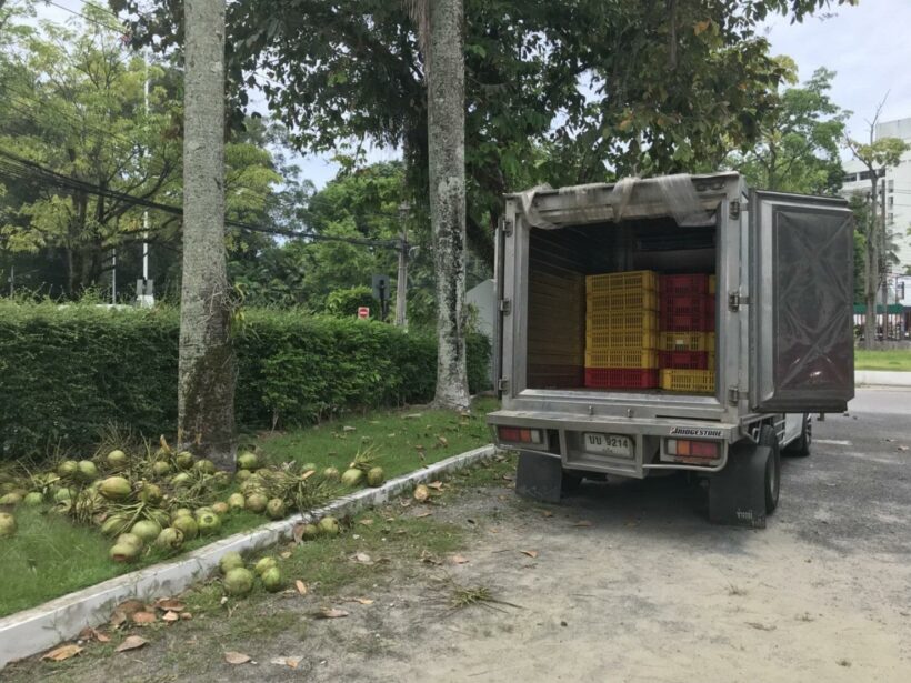 Suspect arrested with 180 kg kratom in refrigerated truck