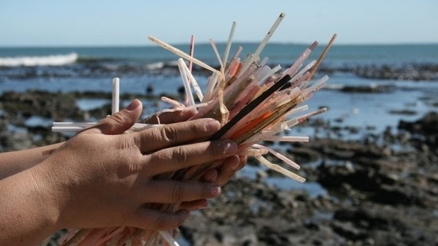 The final straw - say NO to plastic straws | News by Thaiger