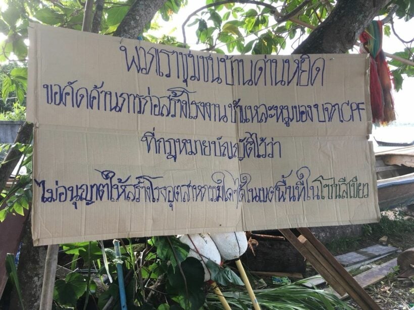 าวบ้านด่านหยิก – ด่านหยุด จ. ภูเก็ต ฮือต้านเอกชนผุดโรงงานชำแหละหมูในพื้นที่ | The Thaiger