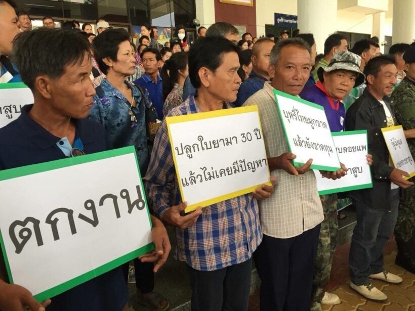 Tobacco farmers rally at Chiang Mai city hall