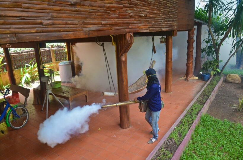 Don’t forget about dengue while worrying about Covid – Thai health officials