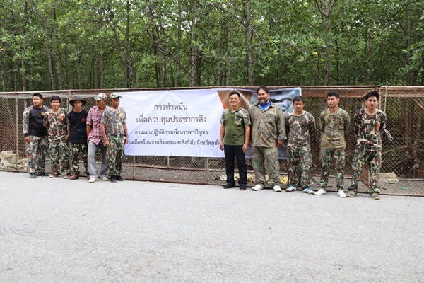 ภูเก็ตเริ่มแล้วปฏิบัติการจับลิงทำหมันคุมจำนวน หวังบรรเทาความเดือดร้อนที่เกิดจากลิง | News by The Thaiger