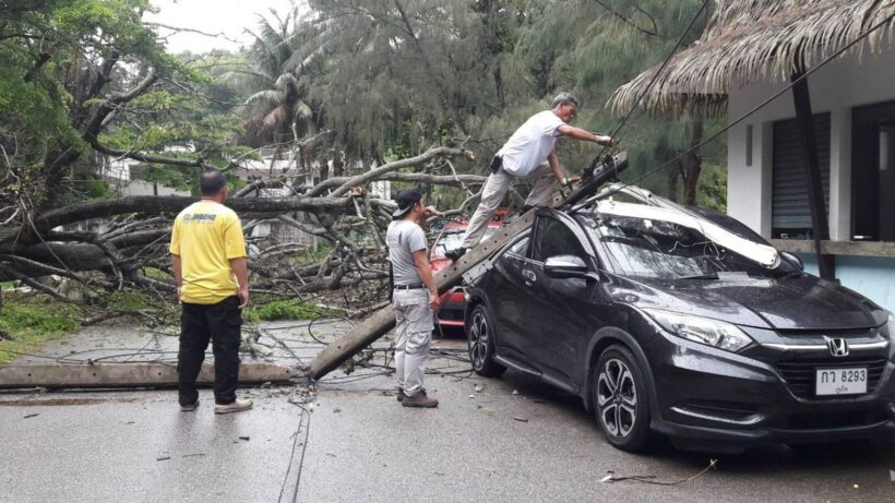 Strong winds bring down trees and power poles, two cars damaged