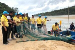 Gotcha! Phuket's crocodile caught at Layan Beach | News by Thaiger