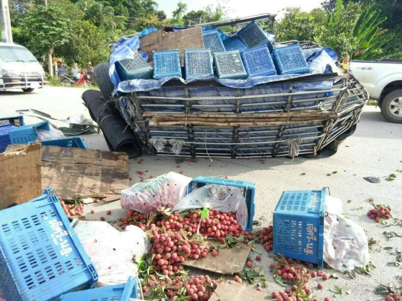 Chiang Mai: High speed crash results in a roadside lychee salad