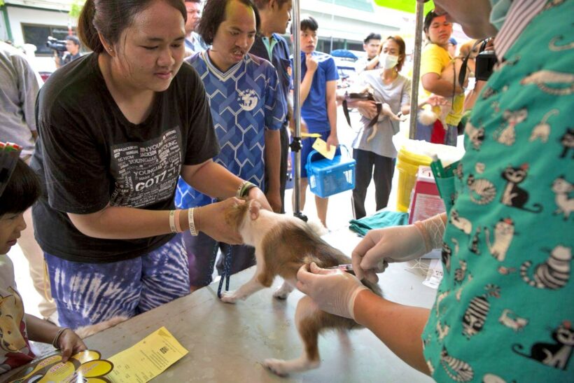 Thailand’s Rabies death toll up to 14 this year