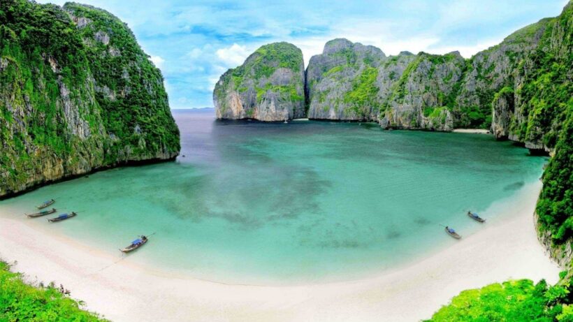 Coral planted in Maya Bay