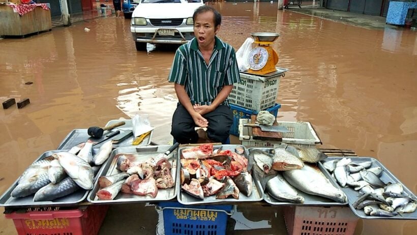 Heavy rains leave provinces on flood alert