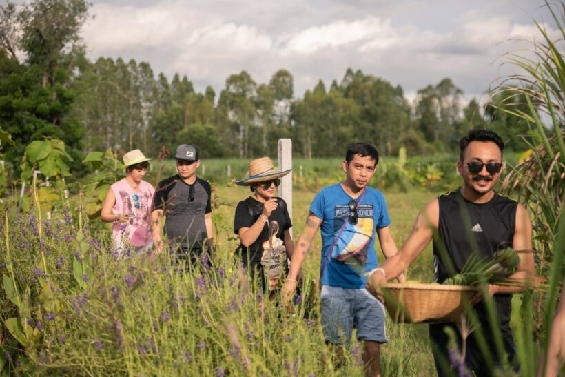 Mango Tree hosts educational tour to train global chefs in the art of Isan cuisine