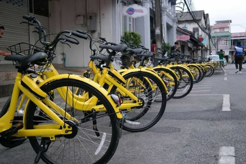 Oh no! No more Ofo.