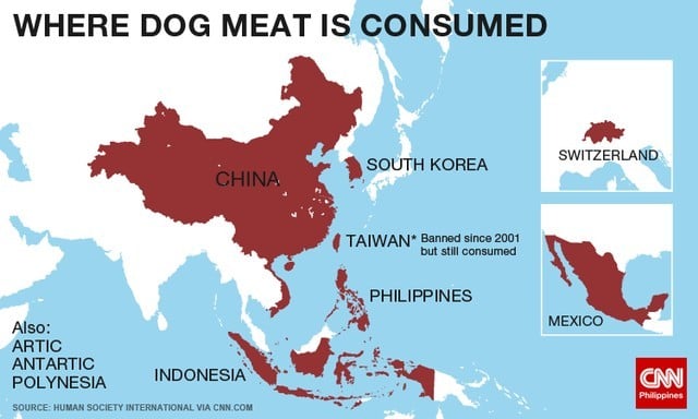 Indonesia set to ban dog meat trade | Thaiger