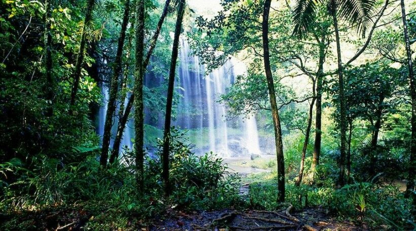 Visitors flooding back to the Pa La-U waterfall