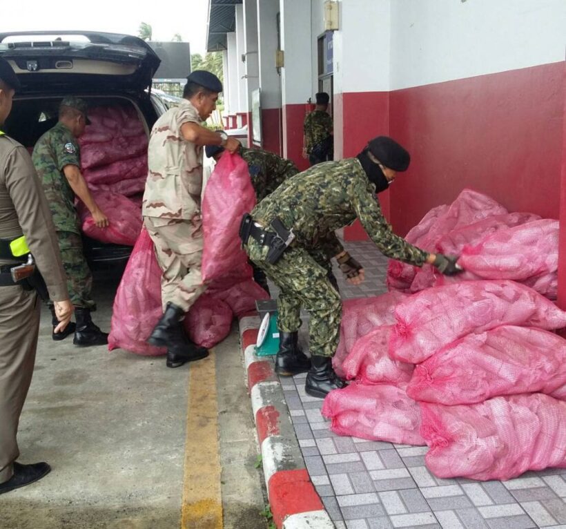 พืชกระท่อมยังคงระบาดเป็นอันดับแรกของจังหวัดภูเก็ต | The Thaiger