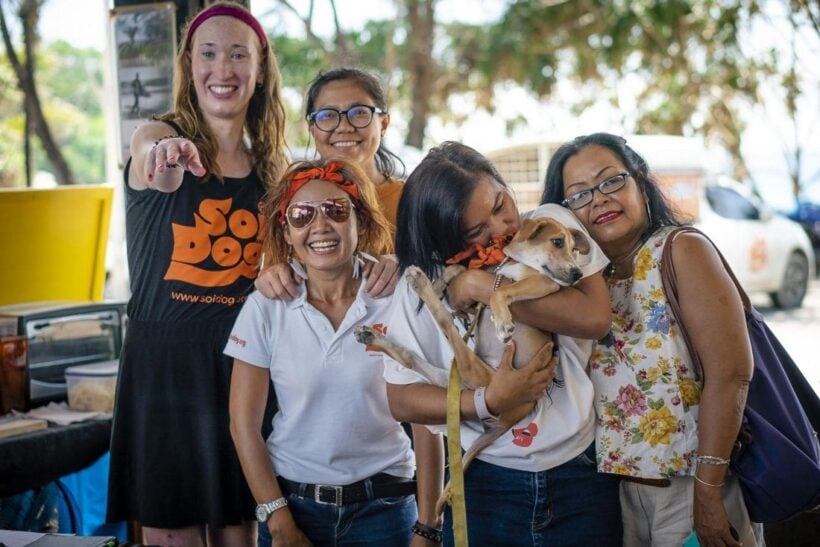 A ‘pawsome’ Sunday with Surf for Soi Dog at SurfHouse Kata Beach