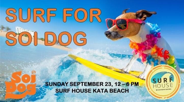 Surf for Soi Dog at SurfHouse Phuket