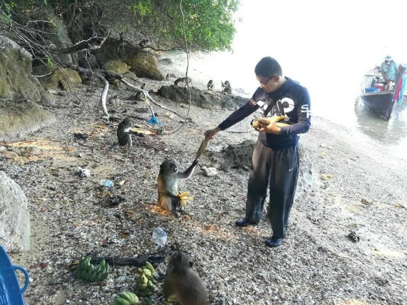 Koh Payu monkeys have a fruit feast