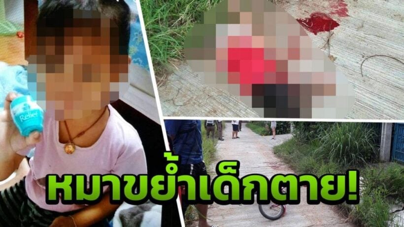 Four year old mauled to death by escaped dogs