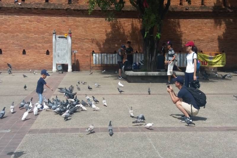 Chinese tourists ignoring the PM’s orders