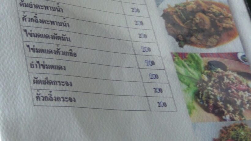 บุกตรวจร้านอาหารดังกระบี่ หลังมีการร้องเรียนขึ้นเมนูอาหารสัตว์คุ้มครอง | The Thaiger