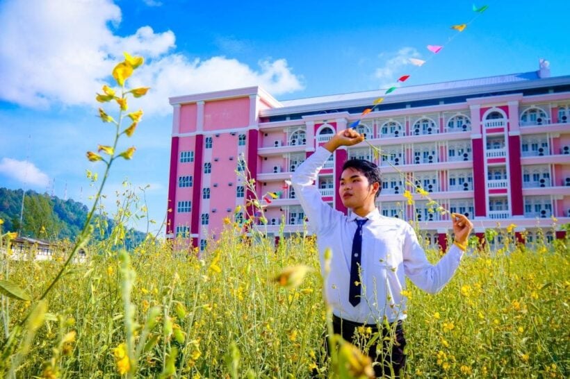 Sunhemp in bloom at Rajabhat University