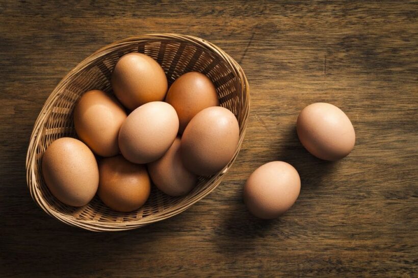 เรื่องน่ารู้ของไข่ไก่ | The Thaiger