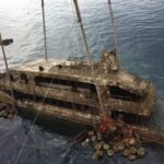 The Phoenix rises to the surface | Thaiger